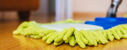 Intretinerea parchetului